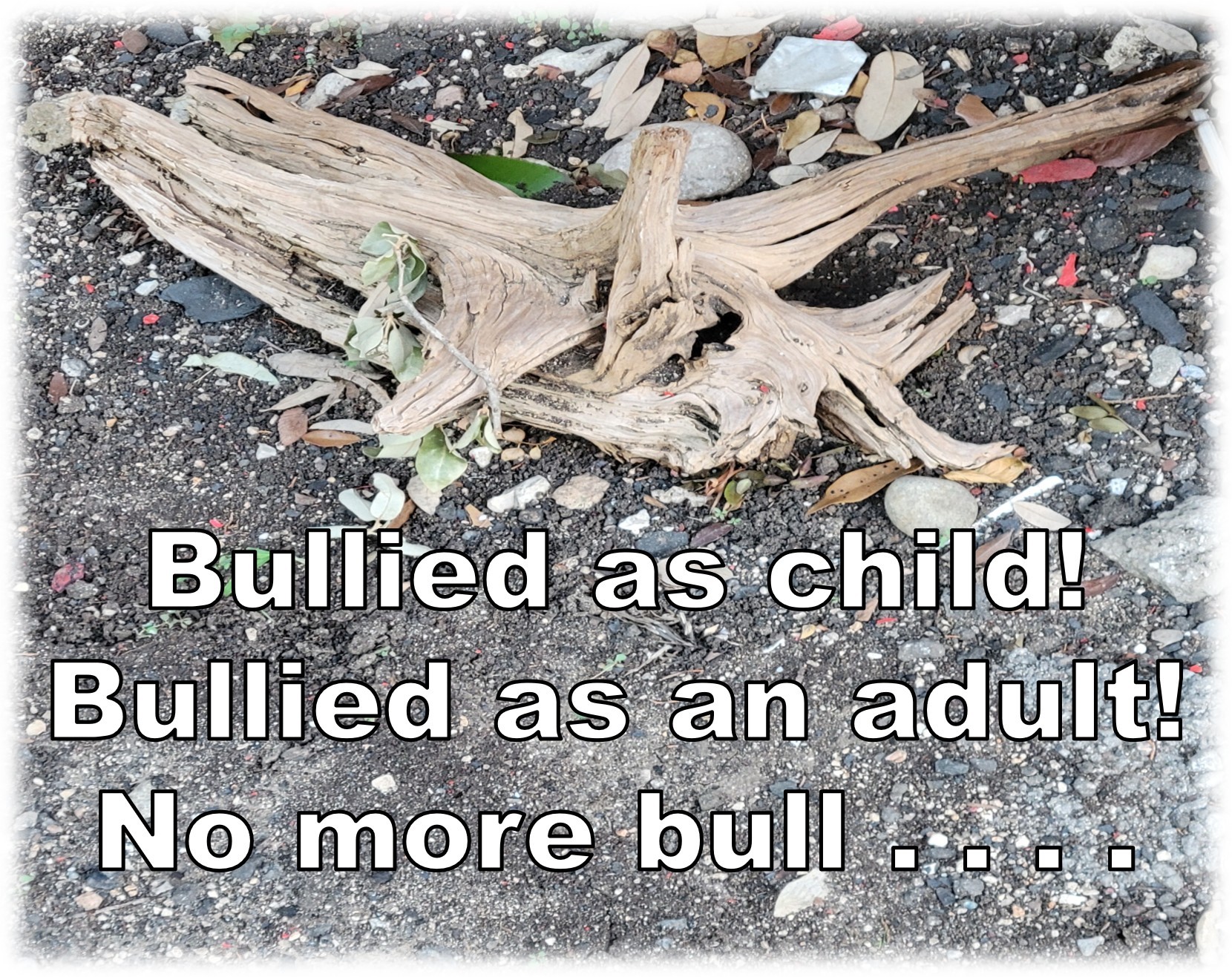 no more bull soft edges